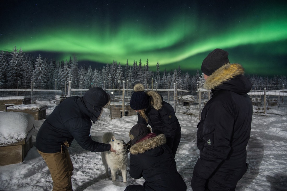 Musher introducing a friendly Alaskan husky to visitors at a snow-covered kennel