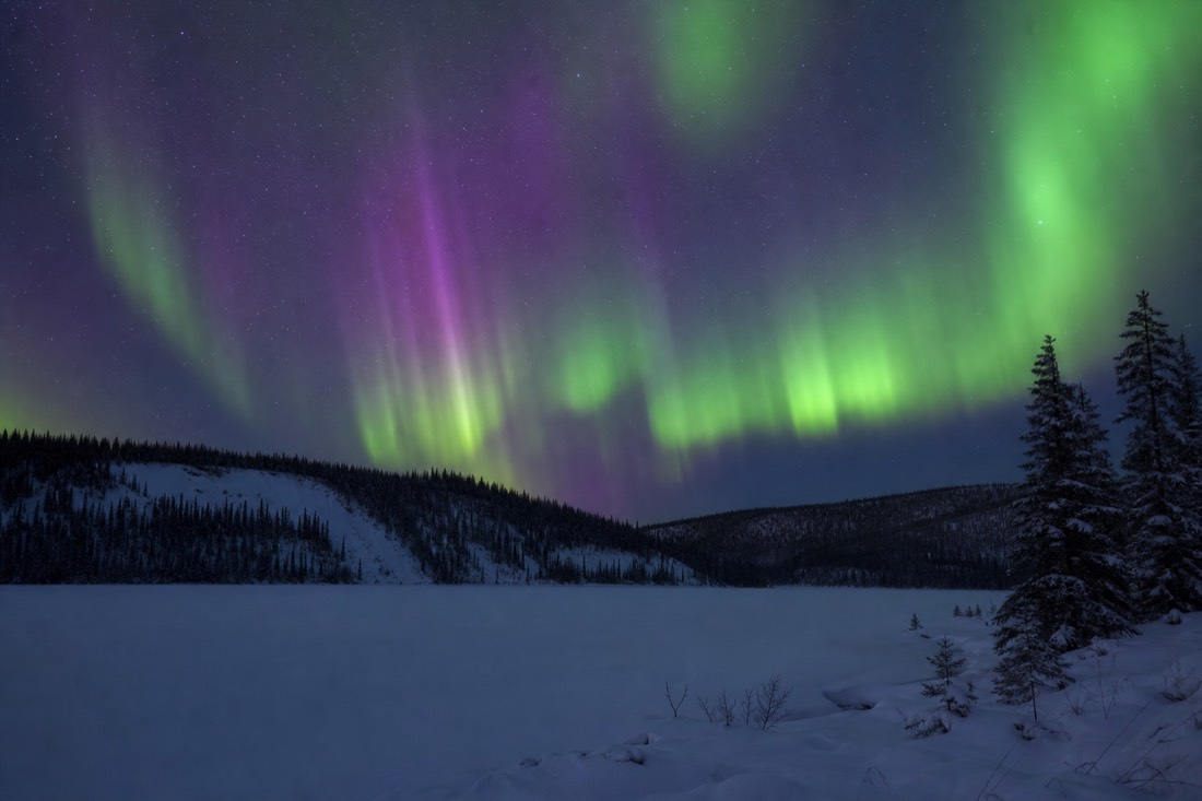 Bright green and violet aurora curtains rippling overhead above a snow-covered lake at midnight