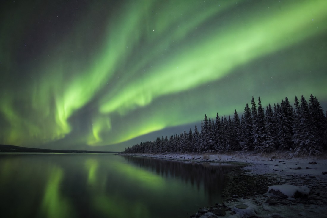 Aurora arc rising over an open lake and dark spruce shoreline on a September night