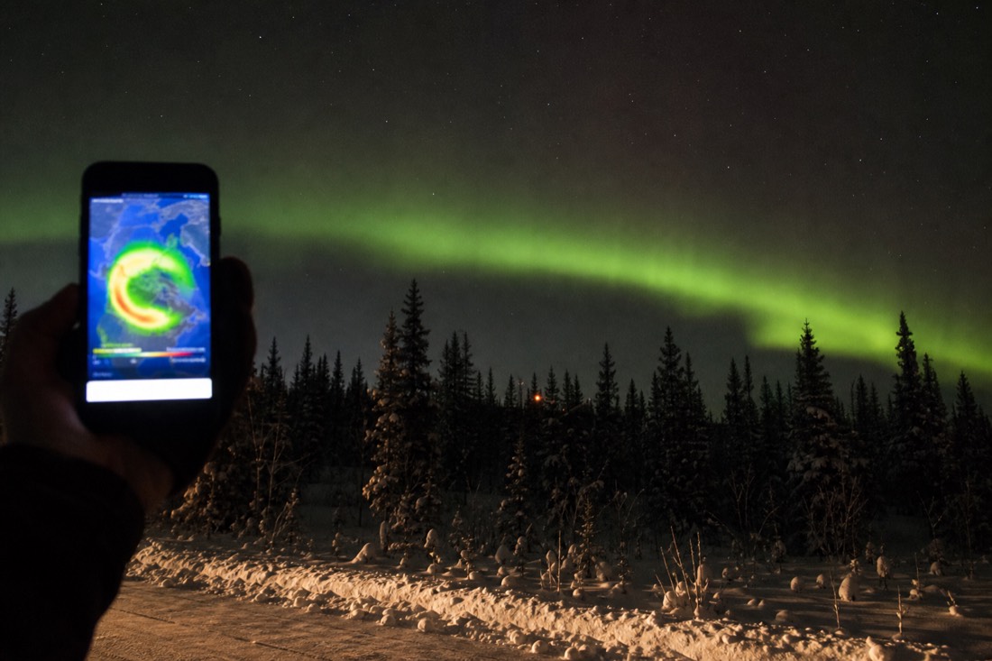 Phone screen showing an aurora probability map held up against a dark sky with a faint green arc above a treeline