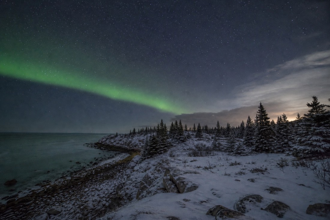 Faint green aurora band over a coastal subarctic treeline with cloud building along one horizon