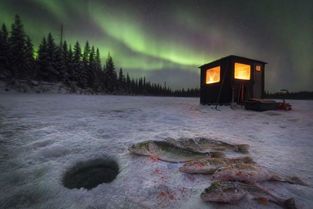 Fresh-caught lake fish on the ice beside an auger hole with a heated fishing hut in the background