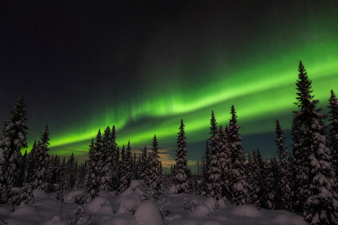 Bright green aurora band over a snow-covered boreal treeline near Yellowknife in March