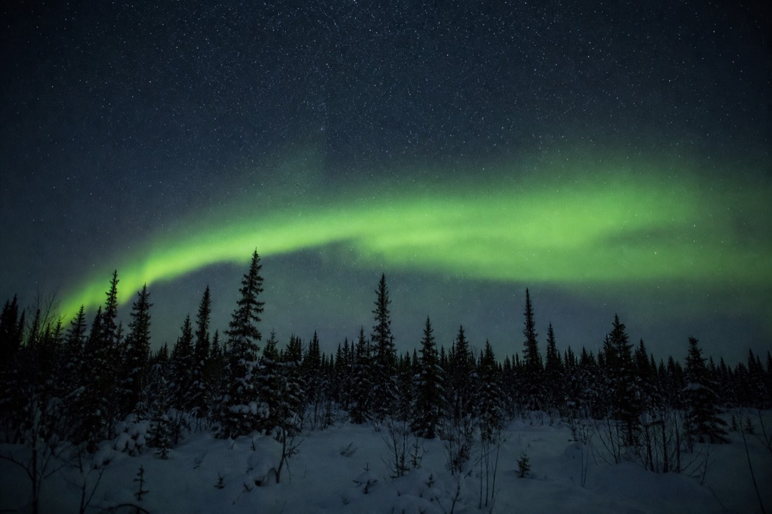 Wide green aurora arc over the dark treeline with stars visible through the thin edges of the band