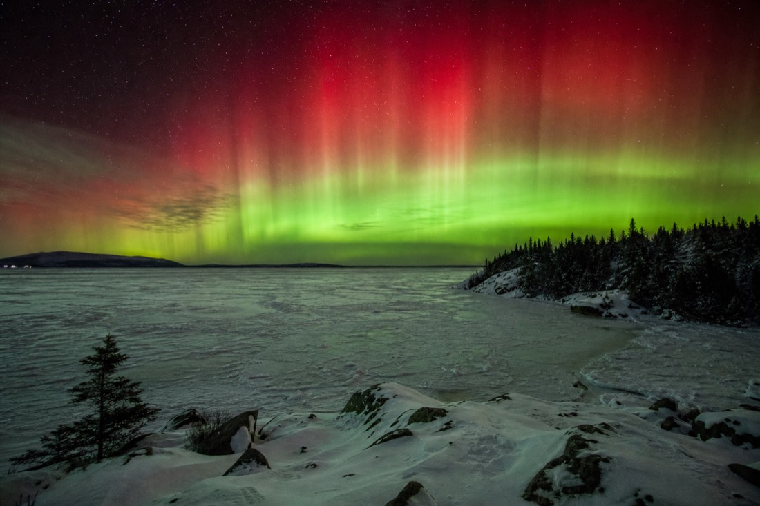 Towering red and green aurora curtains during a high-activity night over the frozen bay
