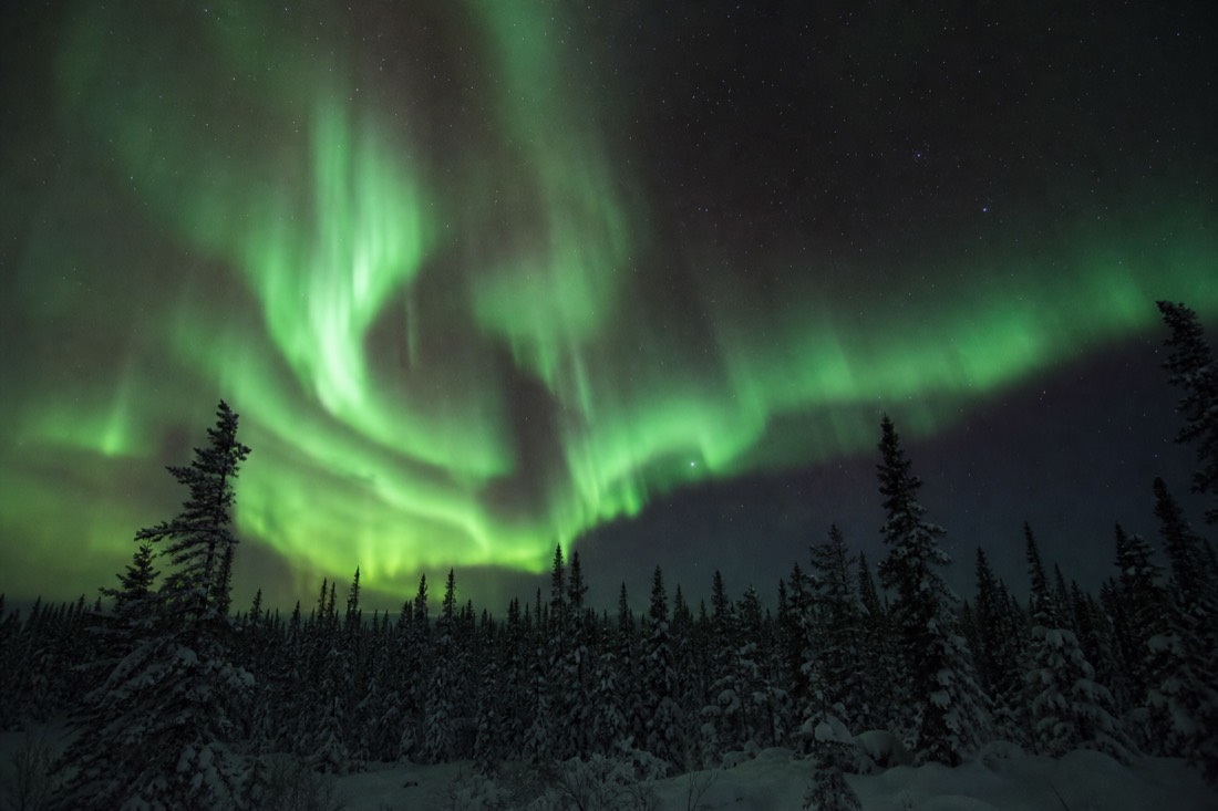 Green aurora curtains over a dark treeline outside Yellowknife on a clear first night of a winter trip