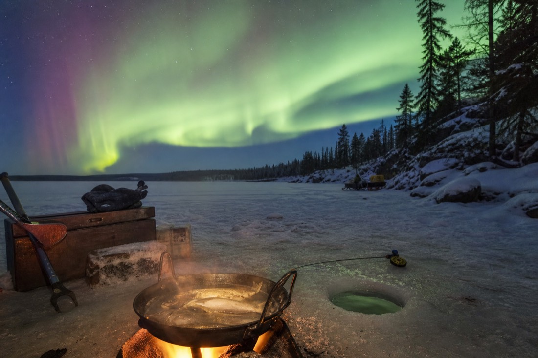 Fresh fish cooking in a pan on the ice of Great Slave Lake beside an augered fishing hole