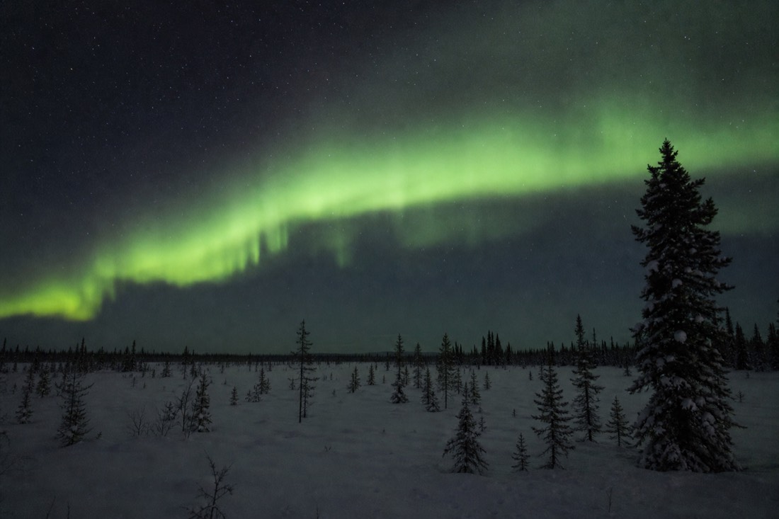 Wide arc of green aurora curving across the sky above a flat snow-covered horizon