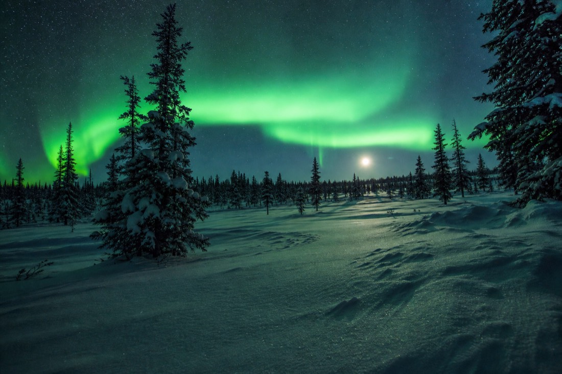 Aurora arc reflected on snow near local midnight with a faint moon low above the treeline