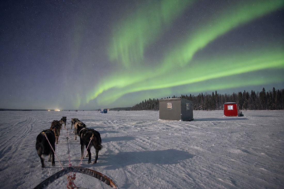 A dog team pulling a sled past ice fishing huts on frozen Great Slave Lake under a low winter sun near Yellowknife