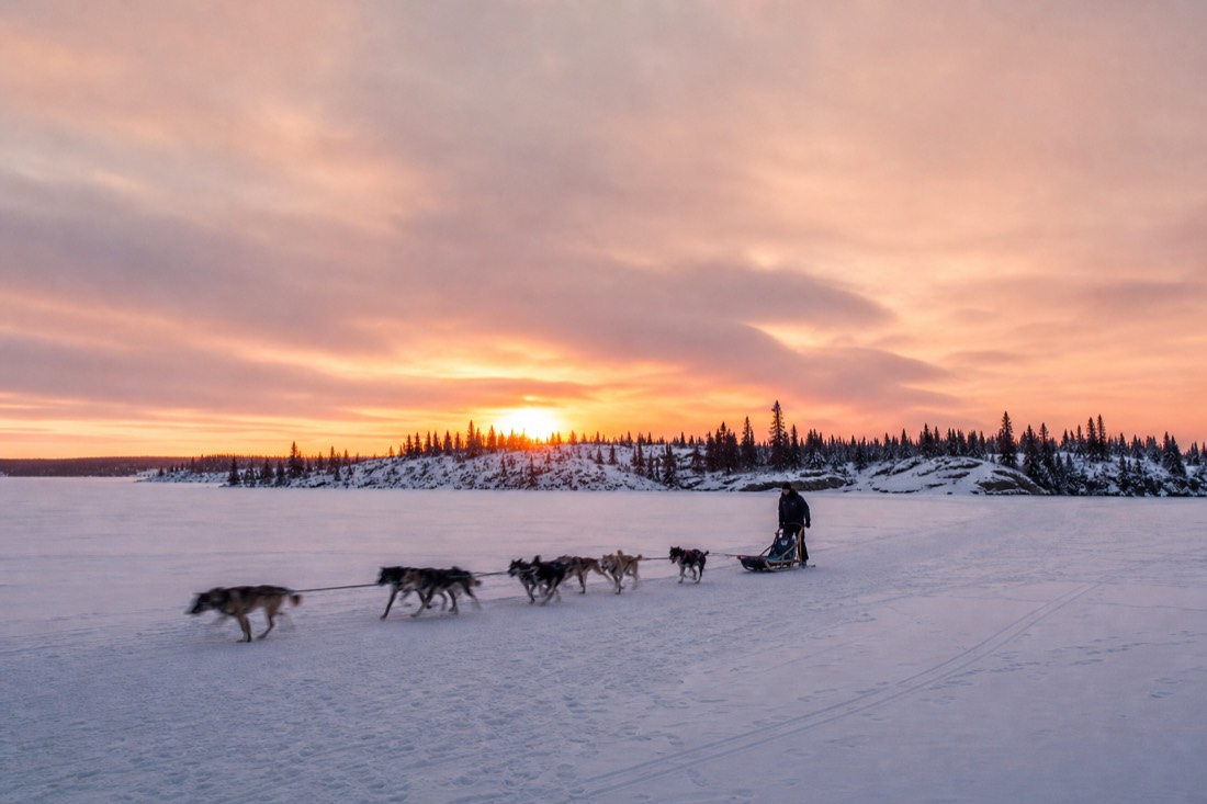 Dog sled team running across snow-covered lake ice near Yellowknife under a low pink winter sun
