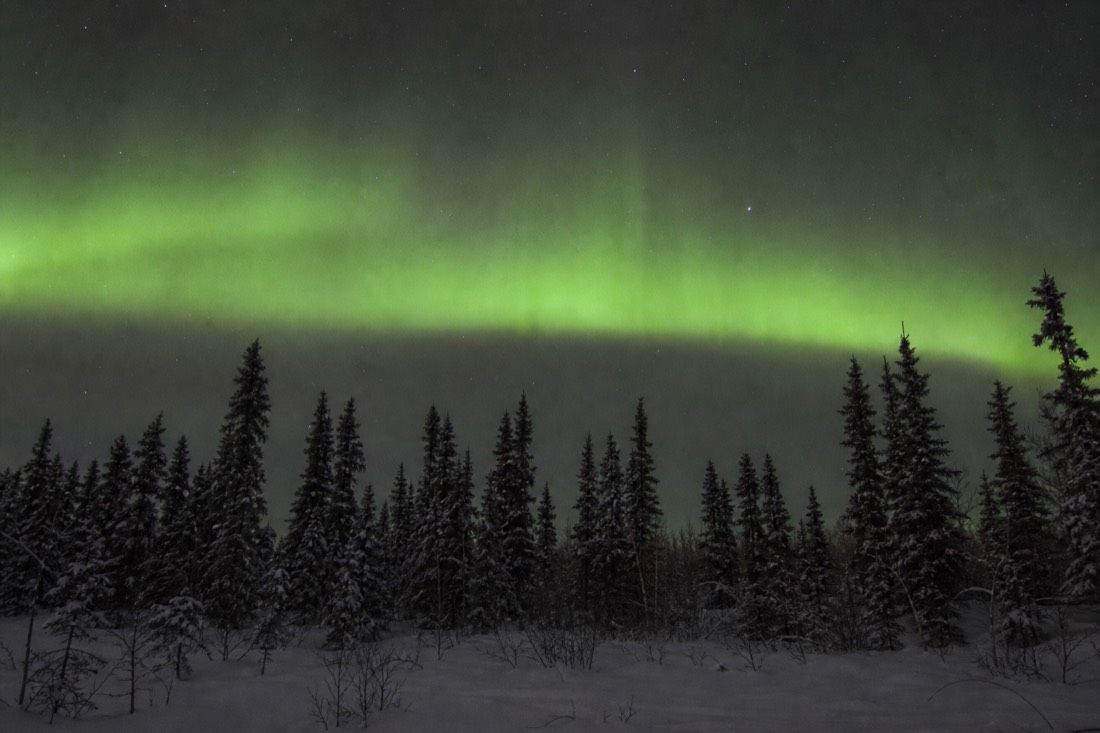 Soft green aurora band glowing on a calm quiet night over dark spruce treeline near Yellowknife