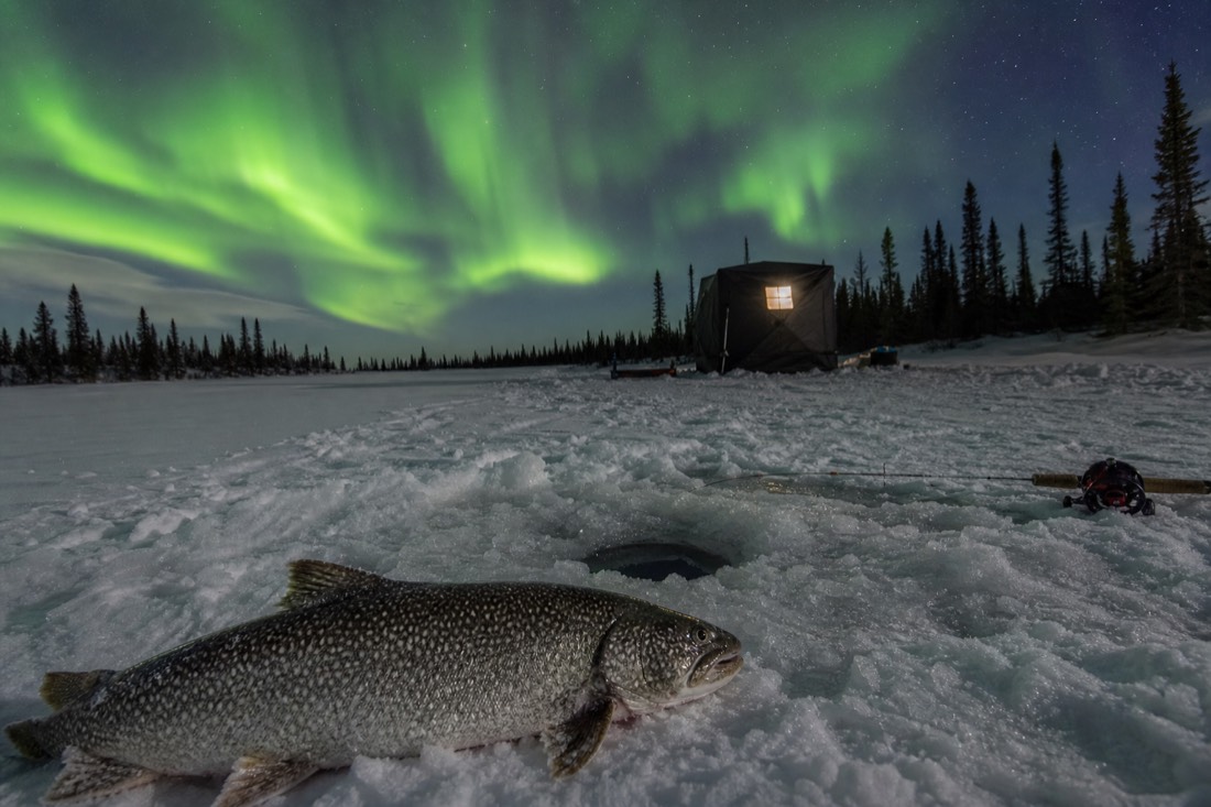 Freshly caught lake trout beside an ice-fishing hole on Great Slave Lake with a heated hut behind