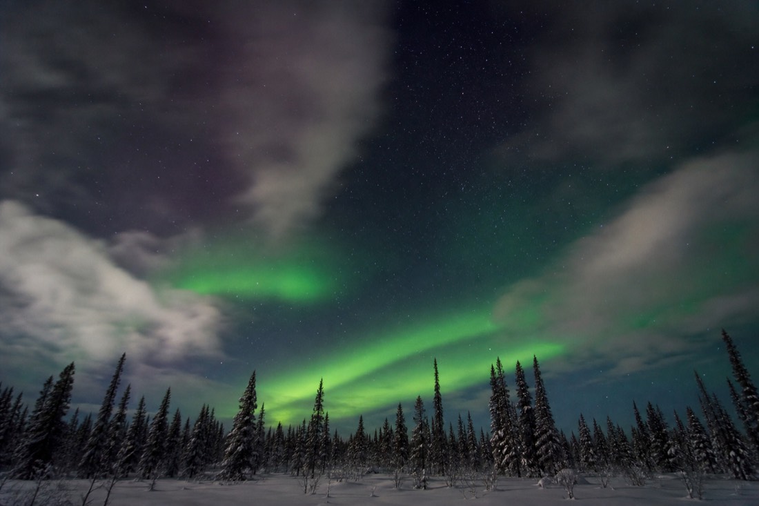 Broken cloud drifting across a starry northern sky with a clear patch opening over a spruce treeline