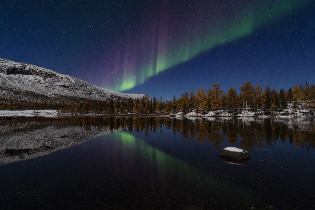 Autumn aurora reflected in the still open water of a northern lake with yellow birch on the far bank