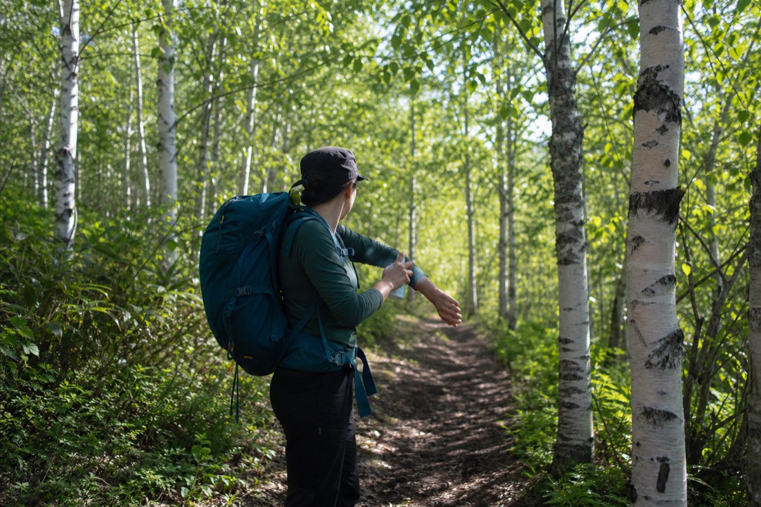 Hiker applying insect repellent on a forest trail with sunlight filtering through birch leaves