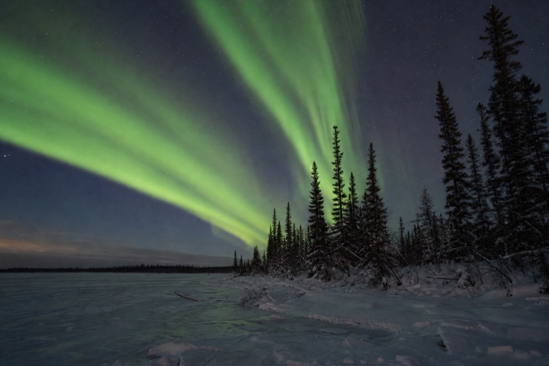Green aurora curtains arcing over a frozen lake and black spruce silhouettes on a clear February night