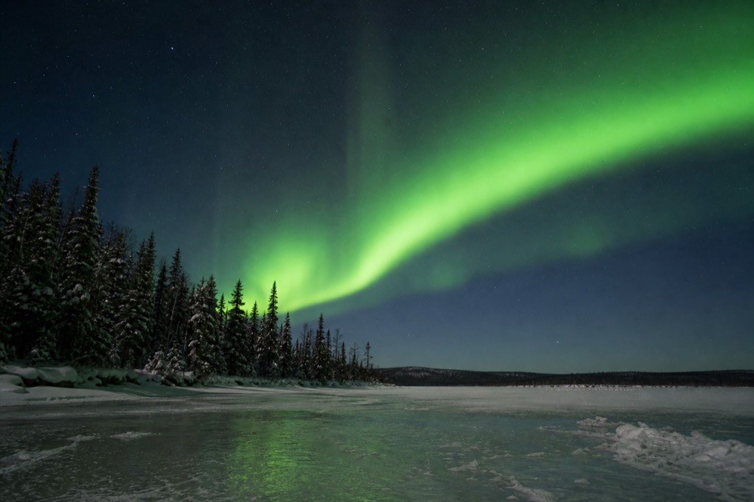 Green aurora arc curving over spruce trees and freshly frozen lake ice on a clear November night