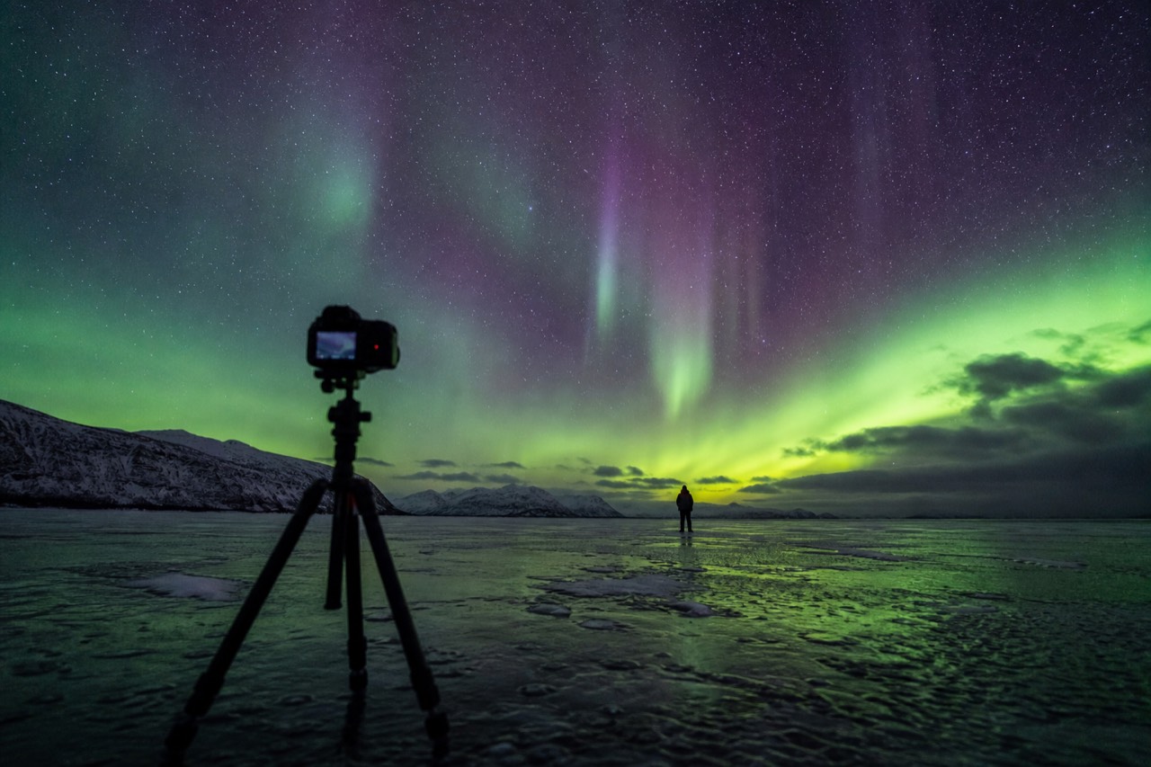 A photographer's tripod silhouetted against green and purple aurora over a frozen lake near Yellowknife